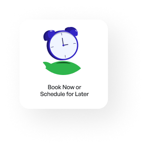 image showing chooose your desired car option
